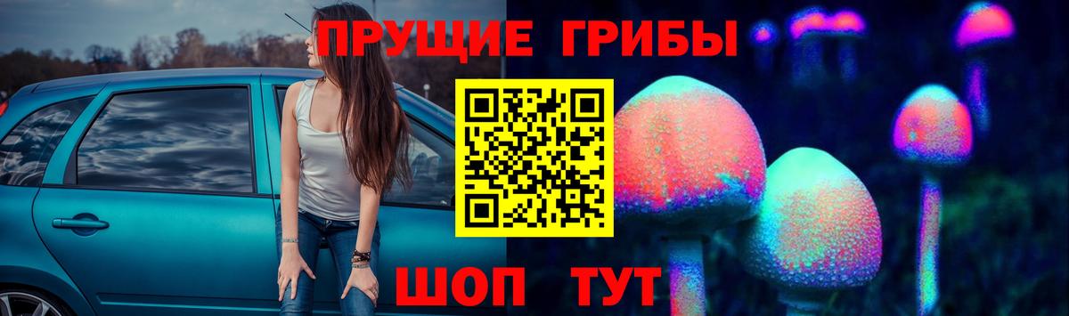 Галлюциногенные грибы GOLDEN TEACHER Кыштым